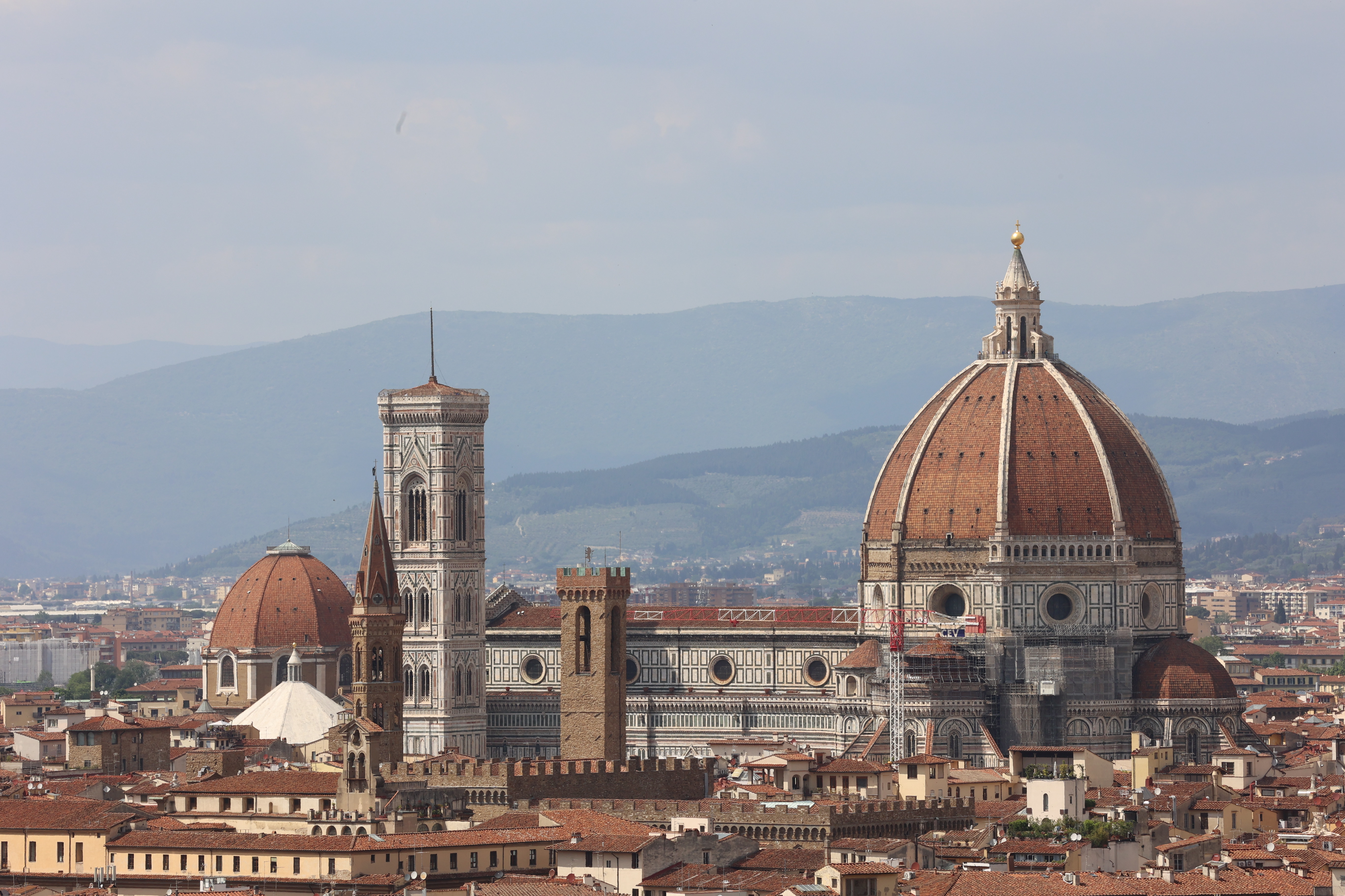 IMG_125262c6f7813ce67